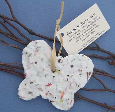 Blooming Expressions Ornament Butterfly Set of 6
