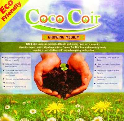 Songbird Garden: Wild Bird Supplies | Outdoor Living | Nature Gifts