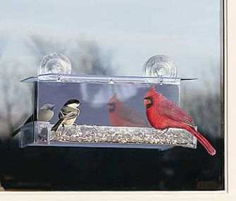 Cardinal One Way Mirror Window Feeder
