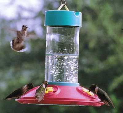 Dr. JB's 16oz Clean Hummingbird Feeder Blue/Red