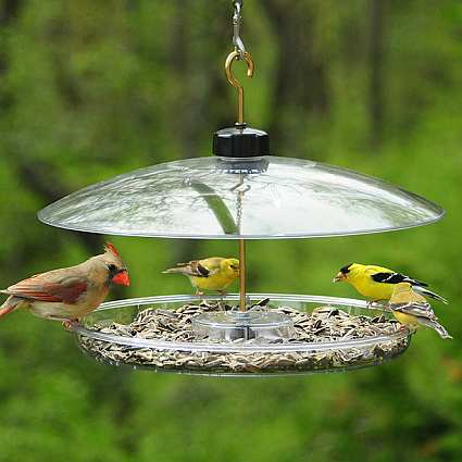 droll yankees covered platform feeder adjustable covered droll yankees covered platform feeder adjustable covered