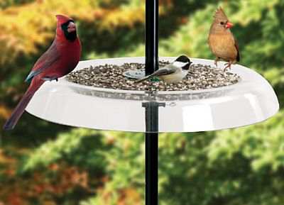 Droll Yankees Giant Seed Tray w/Clamp