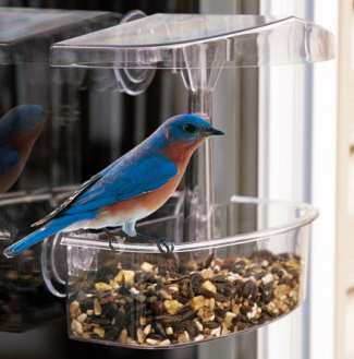 Droll Yankees Observer Window Feeder Twin Pack