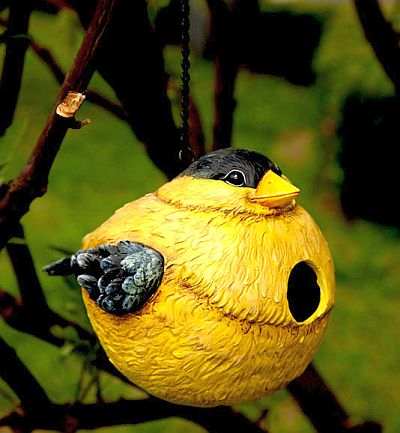 Gloria the Goldfinch Portly Birdhouse