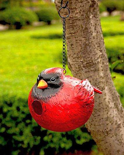 Curt the Cardinal Portly Birdhouse