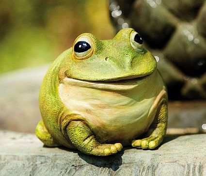 Freddy The Frog Portly Medium