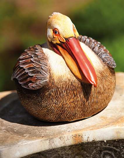 Perry the Pelican Portly Medium