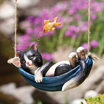 Day Dreamers Kitten