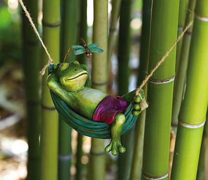 Day Dreamers Frog