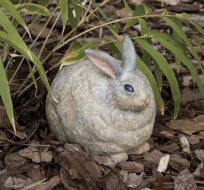 Bunny Portly Medium