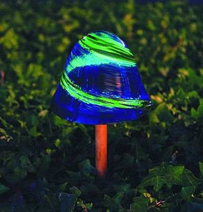 Glowing Blue Mushrooms