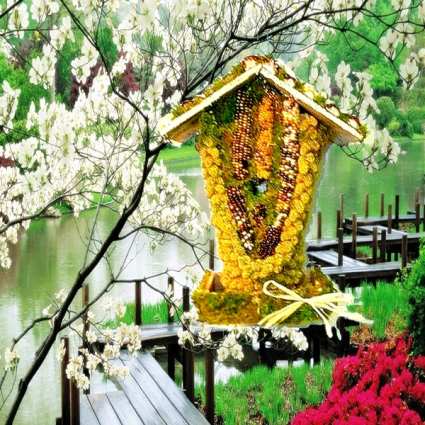Beehive Edible Birdhouse