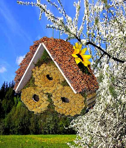 3 Roll Sunflower Bloom Edible Birdhouse