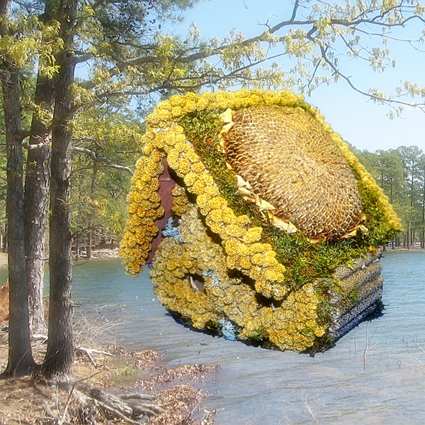 3 Roll Sunflower/Millet Edible Birdhouse
