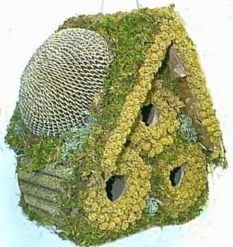 3 Roll Sunflower/Millet Edible Birdhouse