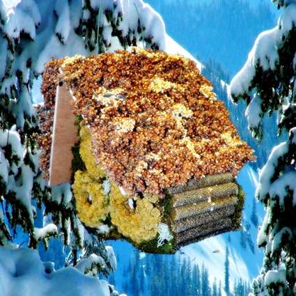 3 Roll Milo/Cookie Seed Edible Birdhouse