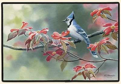 Blue Jay Doormat