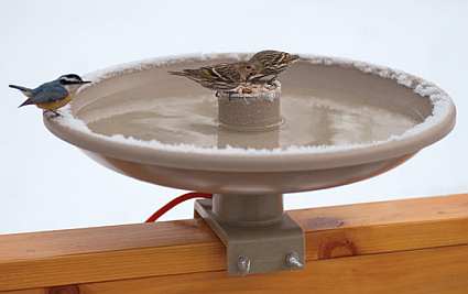 All Seasons Heated Bird Bath with Deck Mount