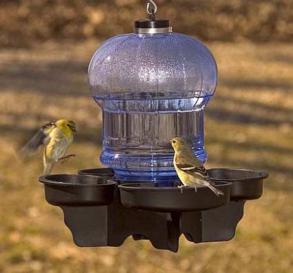 bird waterers for providing drinking water to backyard bird waterers for providing drinking water to backyard