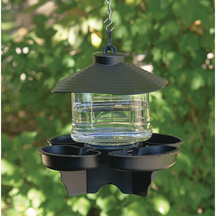 lantern seed selector bird feeder and bird bath waterer lantern seed selector bird feeder and bird bath waterer