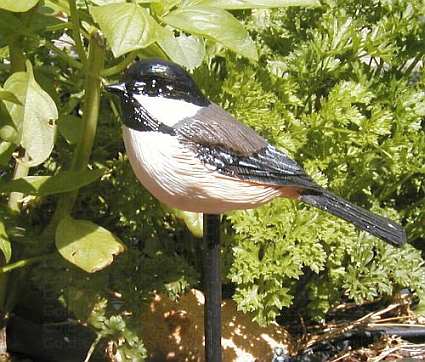 Chickadee Garden Bird Stick