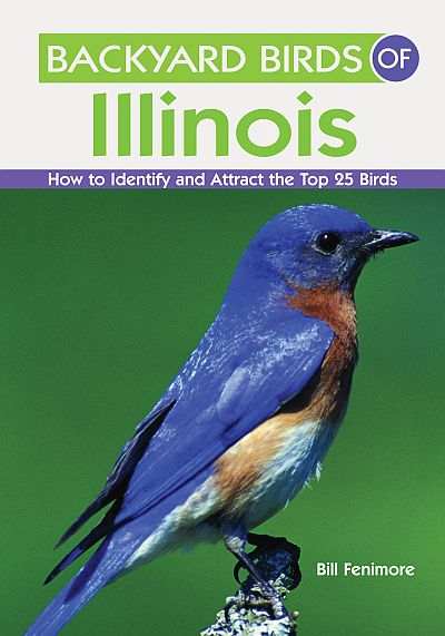 Backyard Birds of Illinois