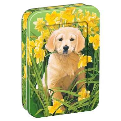 Tree-Free Golden Friendship Collectable Note Tin