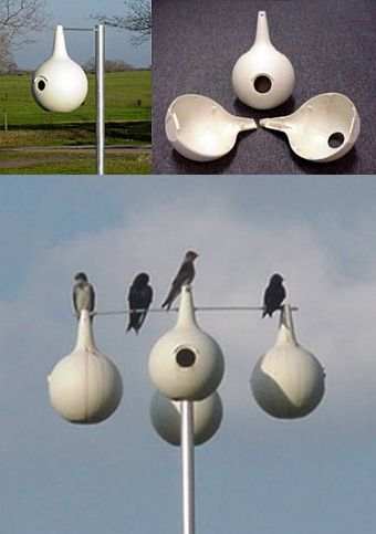 Heath 2-Piece Easy Clean Purple Martin Gourd 4/Pak