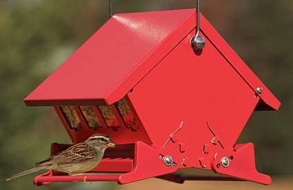 Absolute II Mini Squirrel Proof Bird Feeder