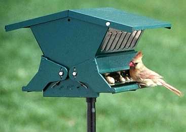 Absolute II Squirrel Proof Bird Feeder Green