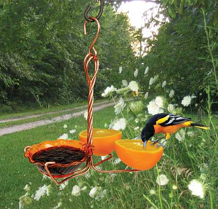 oriole feeders oriole bird feeders for feeding and oriole feeders oriole bird feeders for feeding and