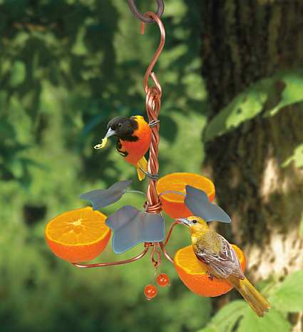 Copper Oriole Triple Fruit Feeder with Ivy