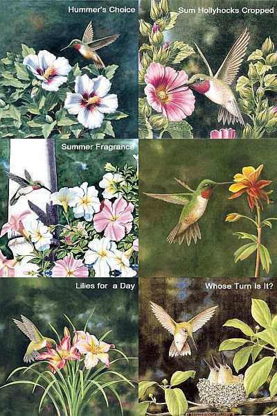Dempsey Essick Hummingbirds Microfiber Cloths 6/PK