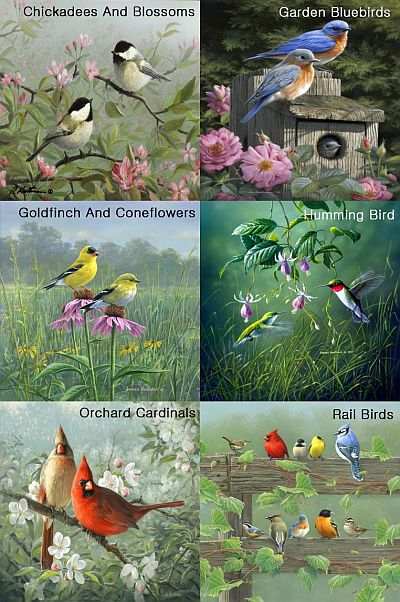 Hautman Brothers Wild Birds Microfiber Cloths 6/PK