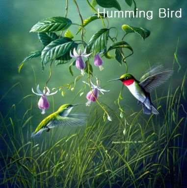 Hautman Brothers Hummingbird Microfiber Cloth 6/PK