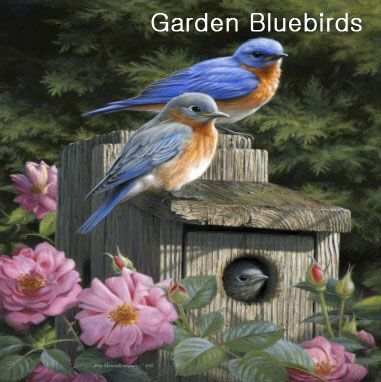Hautman Brothers Bluebird Microfiber Cloths 6/Pak