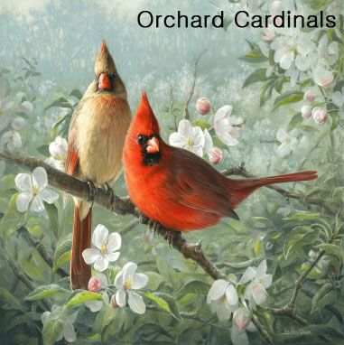 Hautman Brothers Cardinal Microfiber Cloths 6/Pak