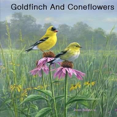 Hautman Brothers Goldfinch Microfiber Cloth 6/Pak