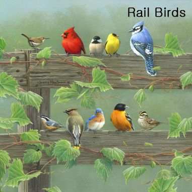 Hautman Brothers Rail Birds Microfiber Cloths 6/PK