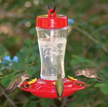 hummingbird feeders blown glass bottle ceramic dish hummingbird feeders blown glass bottle ceramic dish