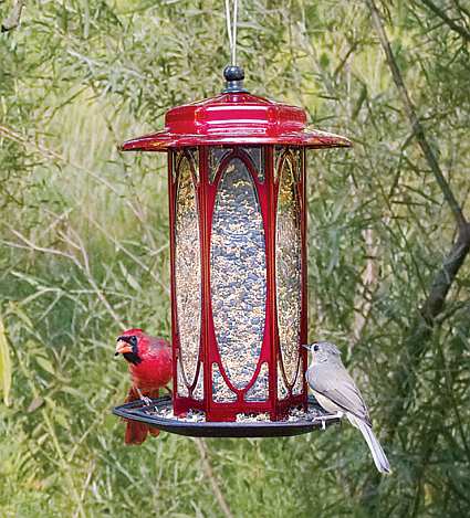 Classic Long Stem Rose Lantern Bird Feeder