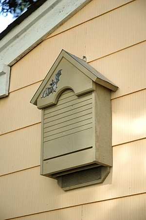 Bat Haven Bat House