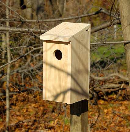 flicker woodpecker house plans house design plans flicker woodpecker house plans house design plans