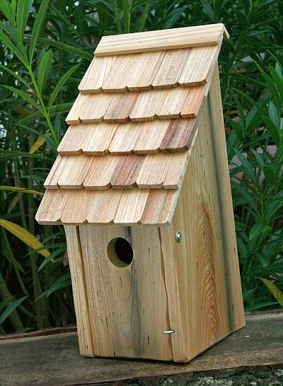 Bluebird Bunkhouse Bird House Natural
