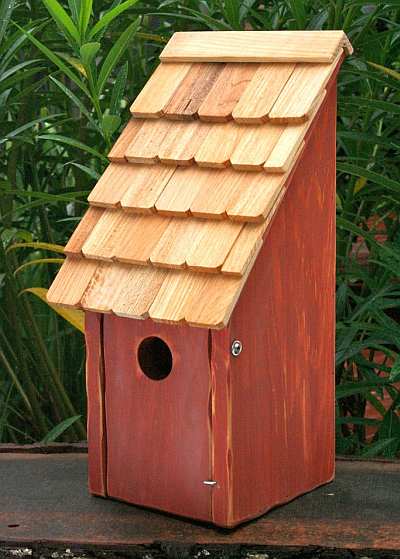Bluebird Bunkhouse Bird House Redwood
