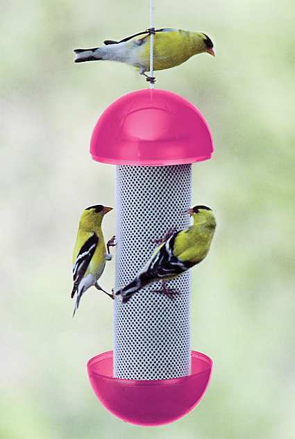 have a ball finch feeder set of 3 nyjer thistle seed have a ball finch feeder set of 3 nyjer thistle seed