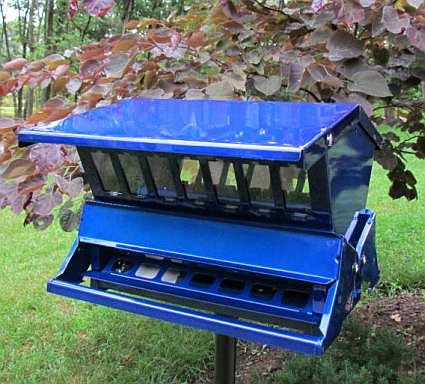 Absolute II Squirrel Proof Bird Feeder Blue