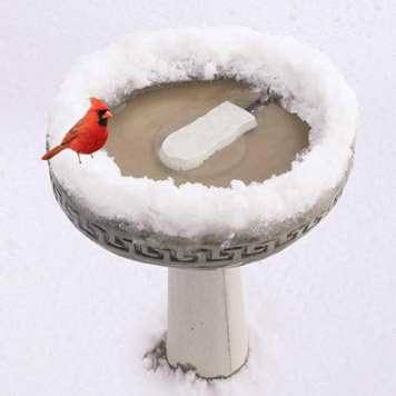 Birdbath Ice Eliminator