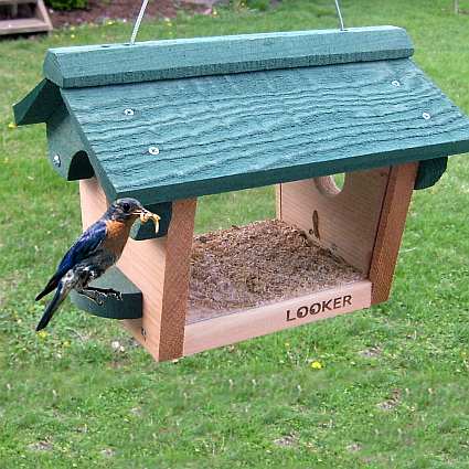 Bluebird/Chickadee Feeder