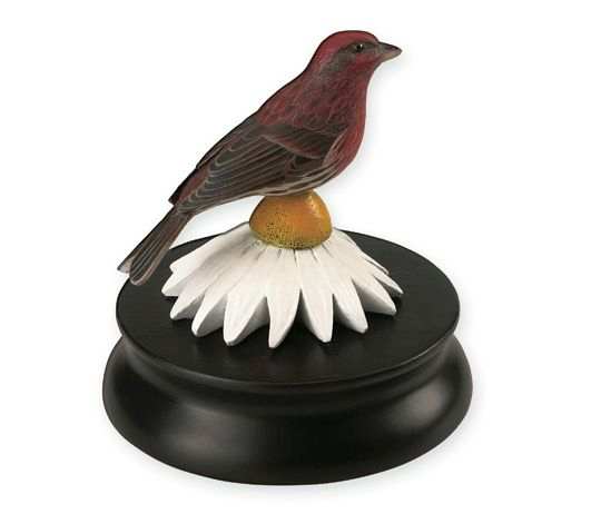 Backyard Songbirds House Finch